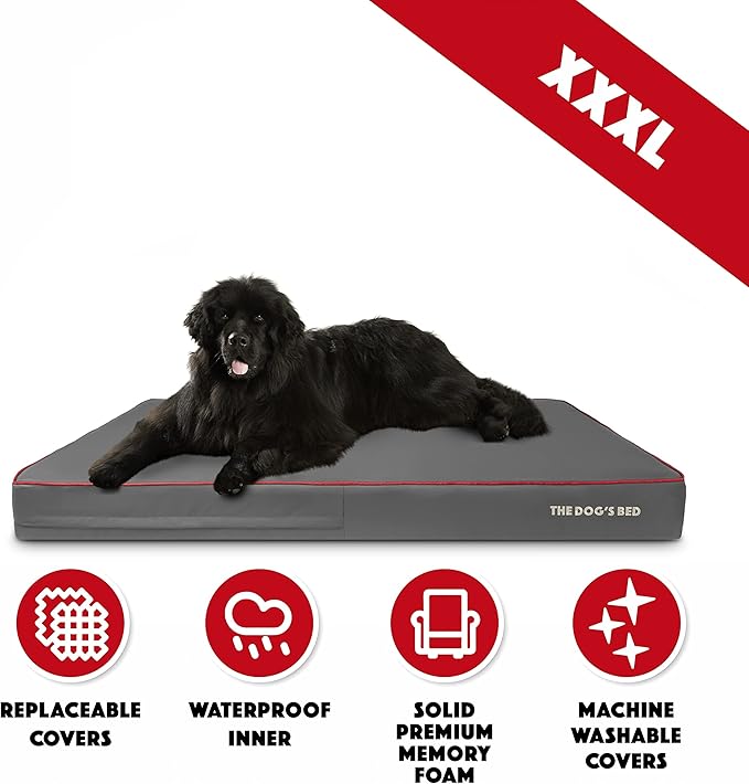 The Dog’s Bed Orthopedic Memory Foam Dog Bed 64x44, Pain