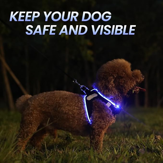 PcEoTllar Light Up Dog Harness, LED Dog Harness for Puppy Small Medium Dogs, Rechargeable No Pull Reflective Dog Harness, Flashing Lighted Dog Harness for Night Walking (Blue,s)