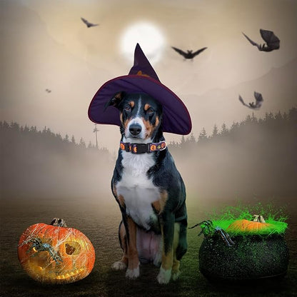 TDTOK Cute Halloween Dog Collar for Small Medium 5 Different