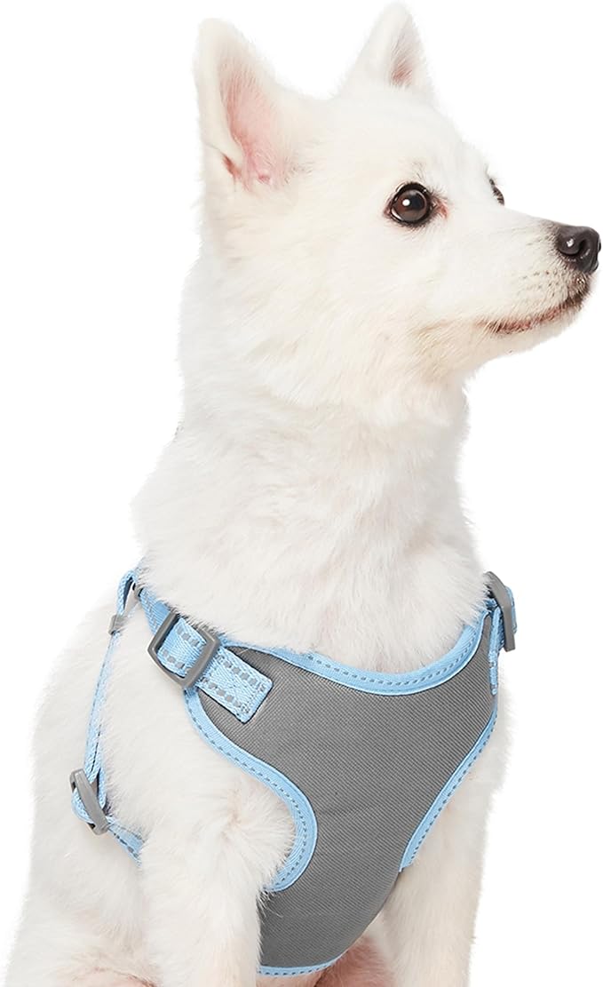 Blueberry Pet Essentials Pastel Color Reflective Matching Dog Harness Vest and Leash Set in Baby Blue, Adjustable Harness with 5 ft Leash for Medium Dogs