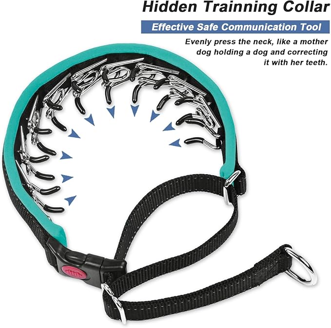 Martingale Collar for Dogs