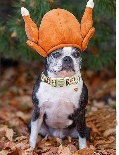 Lionheart glory Turkey Dog Collar