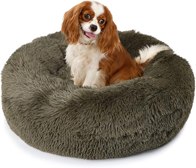 Puppy Bed for Calming Dog 23 Inches Green 15 lbs