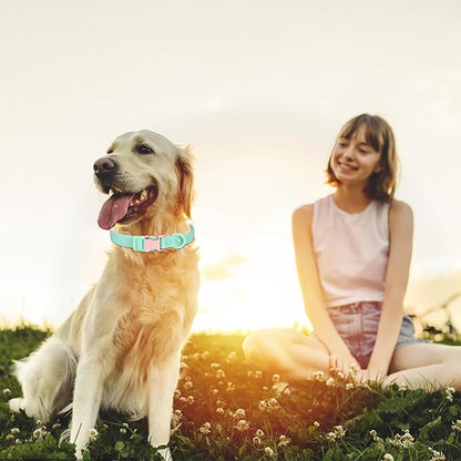 Waterproof Dog Collar with Safety Metal Buckle