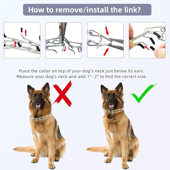 Adjustable Dog Collar with Quick Release Buckle