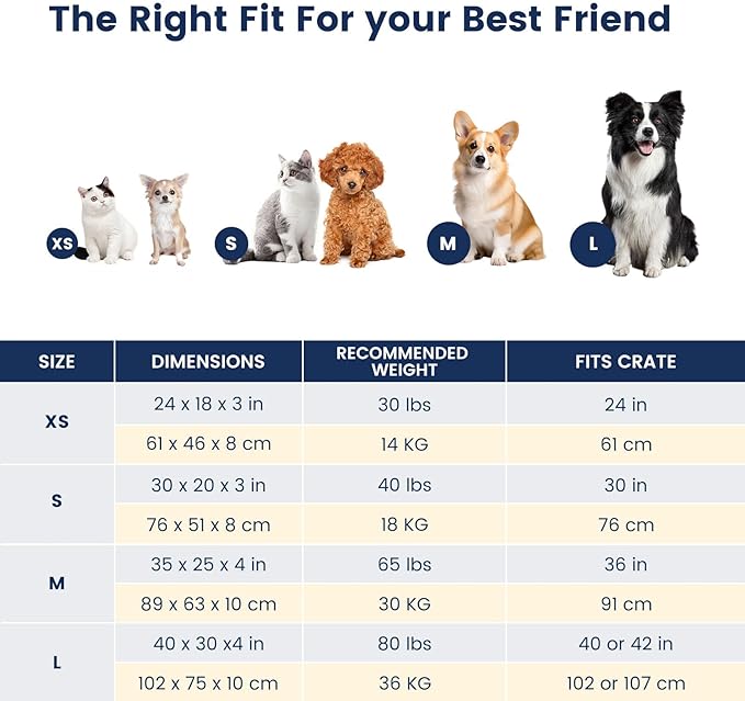 Miguel Durable Canvas Dog Bed 14 Ounce 24 x 18 inch,