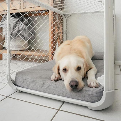 Diggs Bolstr Dog Bed I Water Resistant Pet