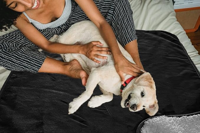 Bucephalus 30"×40" Waterproof Dog Blanket