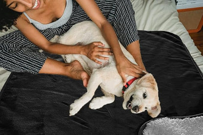 Bucephalus 30"×40" Waterproof Dog Blanket