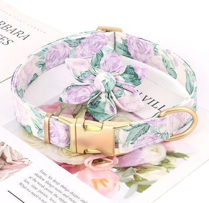 Beirui Cute Girl Dog Collars for Female Dogs