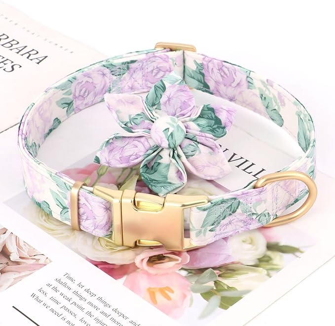 Beirui Cute Girl Dog Collars for Female Dogs