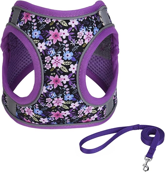 Step in Dog Harness No Pull Flower Adjustable Soft Mesh Padded Reflective Velcro Pet Vest Harness and Leash Set for Small Medium Dogs