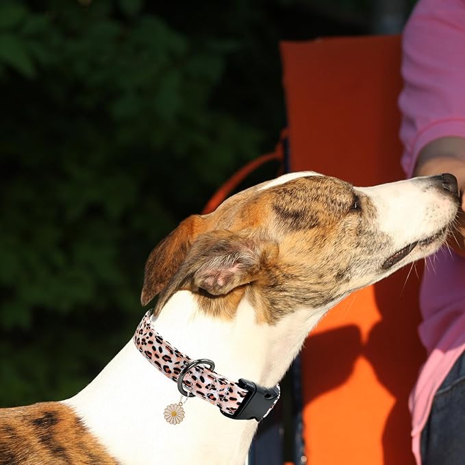 Leopard Patterns Dog Collar with Pendant