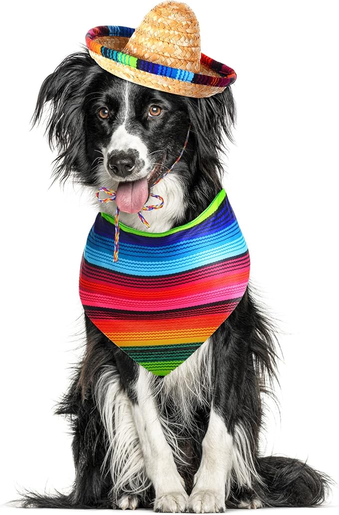 Dog Sombrero Hat Multicolor Sombrero Hats Straw Mexican
