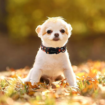 ARING PET Halloween Dog Collar-Cotton Black Pumpkin Dog Collar