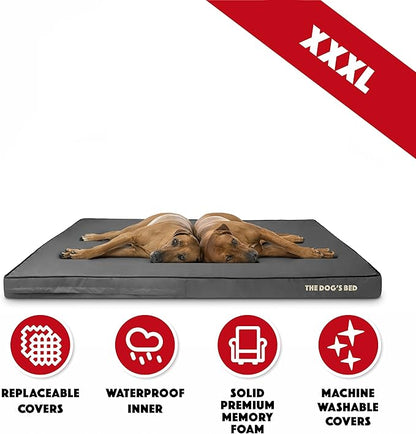 The Dog’s Bed Orthopedic Memory Foam Dog Bed 64x44, Pain
