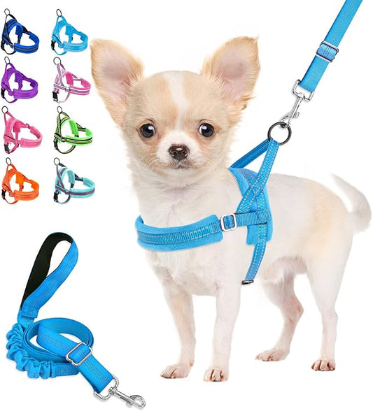 Lukovee Dog Harness and Leash Set, Soft Padded Small Dog Harness, Neck & Chest Adjustable Reflective Vest Puppy Harness with 4ft Lightweight Anti-Twist Dog Leash for Small Dogs (Light Blue, XX-Small)