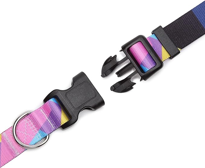 Adjustable Dog Collar with Patterns