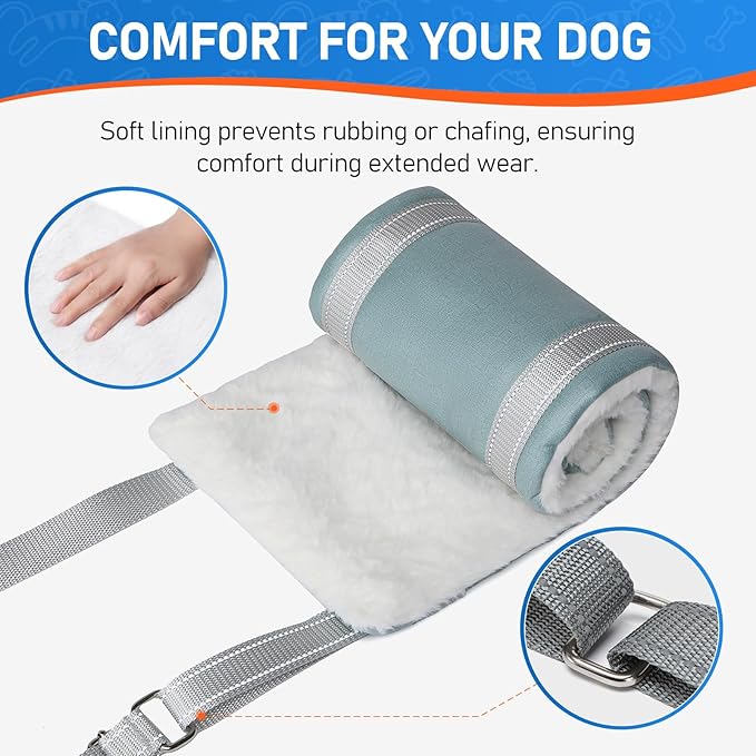 Dog Lift Harness for Medium Dogs K9 Cruciate