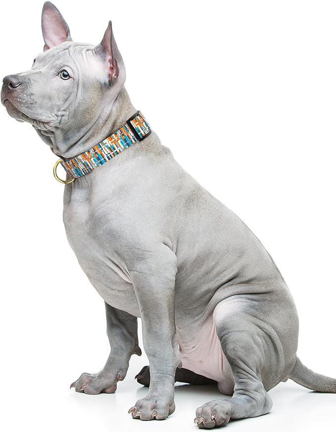 Reflective Dog Collar