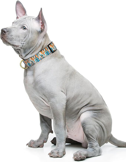 Reflective Dog Collar