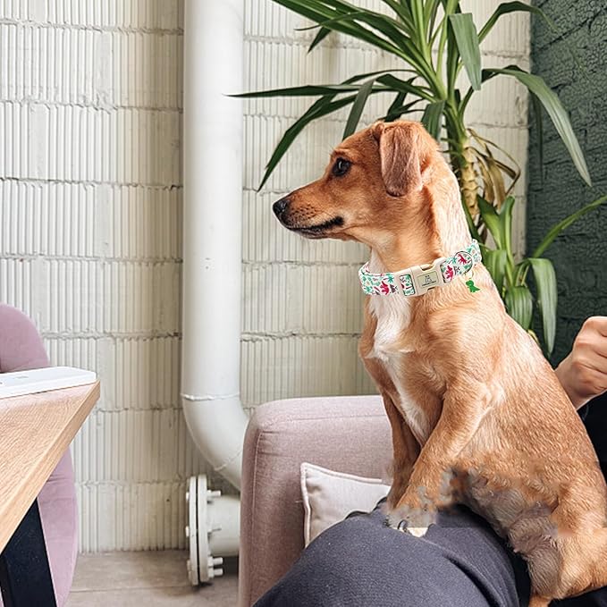 Lionheart glory Dog Collar