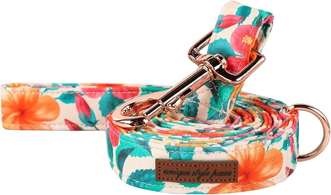 Unique Style Paws Cotton Dog Collar with Bow