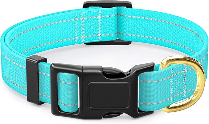 Reflective Dog Collar