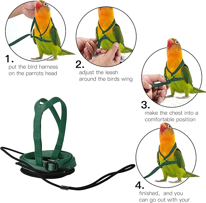 2 pcs Pet Parrot Bird Harness and Leash, Adjustable Training Design Anti-Bite, Outdoor Flying Training Rope Kit for Bird Parrots Fits Birds Chest Between24-51cm /9.45-20inch - M (Green)