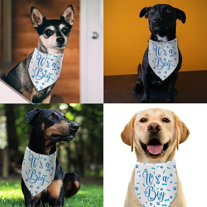 It's a Boy Dog Bandana Gender Reveal Dog