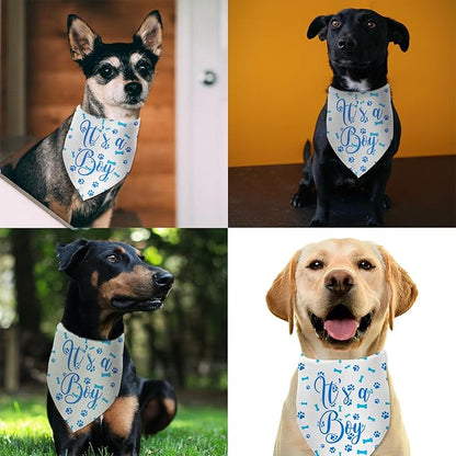 It's a Boy Dog Bandana Gender Reveal Dog