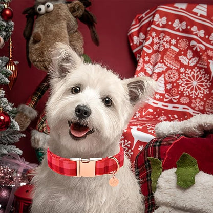 Christmas Dog Collar 16-26in
