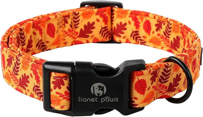 Lionet Paws Orange Dogs Collar Fall 8-12 inches