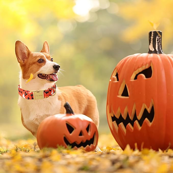 Unique style paws Dog Collar Metal Buckle Collar