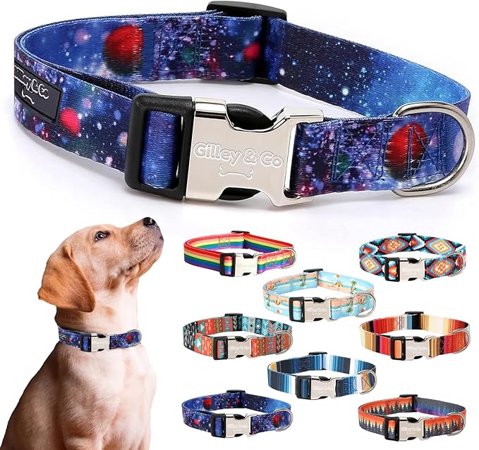 Gilley&Co Dog Collar and Leash Set 8 Designs, 4 Sizes