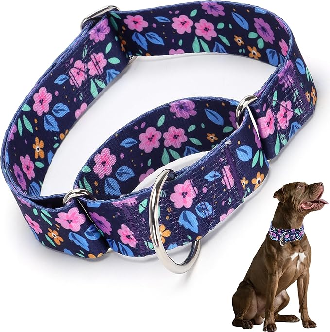 Martingale Dog Collars for Large Dogs 1.5 Inches