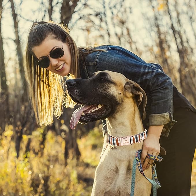 Lionheart glory Plaid Dog Collars Fall Dog Collar