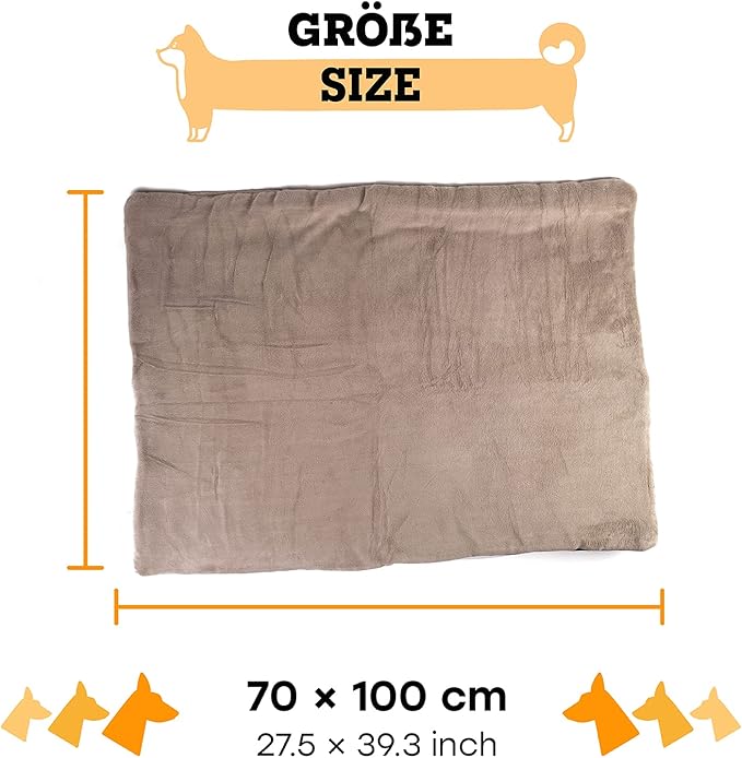 Dog Mat 27.5 x 39.3 in