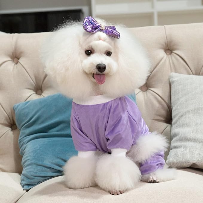 CuteBone Trend Letters Dog Pajamas Clothes Soft Puppy P246L