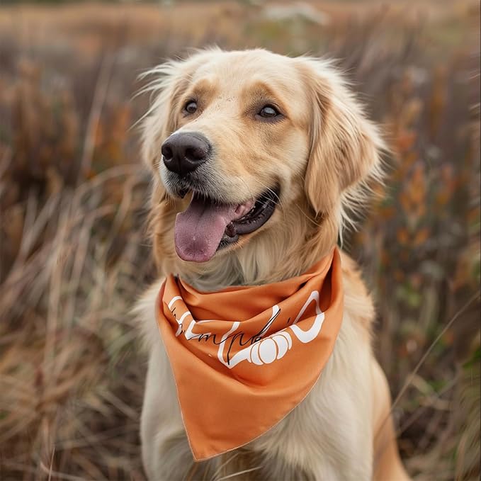Fall Dog Bandana 2 Pack Thanksgiving Dog Bandanas Pumpkin Pet Scarf Reversible Fall Triangle Bibs Soft Cotton Boy Girl Dog Bandanas Accessories for Small, Medium, Large Dogs (Large)