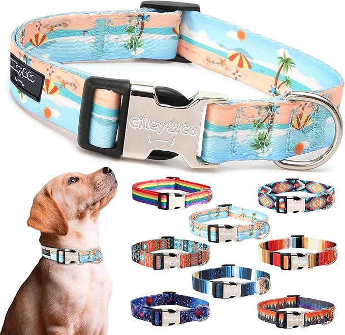 Gilley&Co Dog Collar and Leash Set 8 Designs, 4 Sizes