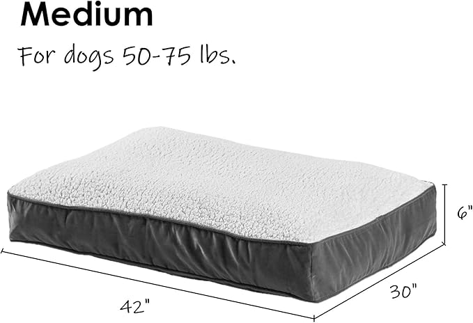 South Pine Porch Buddy Rectangle Pillow Style Dog Bed (42" x 30")