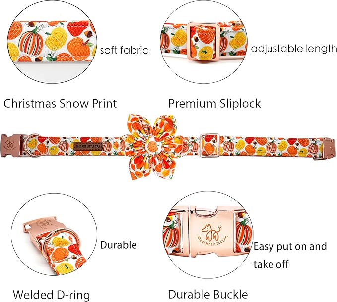 Elegant little tail Dog Collar with Flower