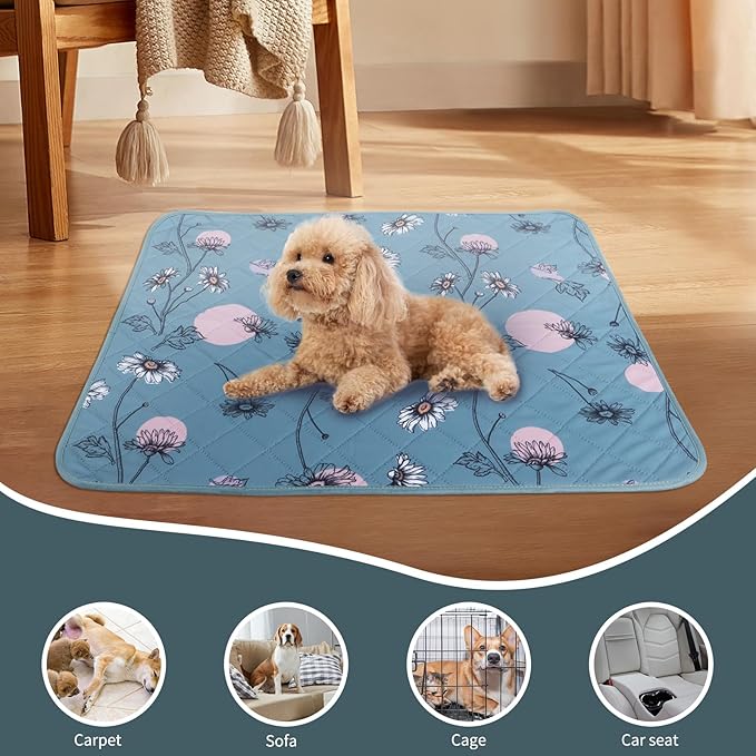 IEUUMLER Washable Pee Pads for Dogs 1 Pack EU007 (Green 63"X63"-1pcs)