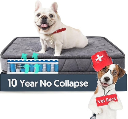Orthopedic Dog Bed for Small Dogs and Cats，3 Inch Thick Washable Dog Bed