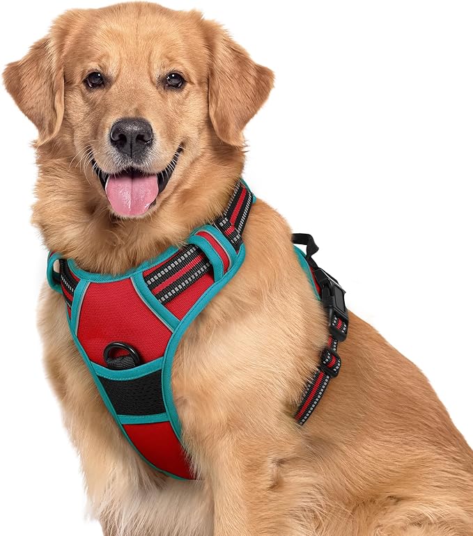 rabbitgoo Dog Harness, No-Pull Pet Harness with 2 Leash Clips, Adjustable Soft Padded Dog Vest, Reflective No-Choke Pet Oxford Vest with Easy Control Handle for Large Dogs, Red & Teal, XL