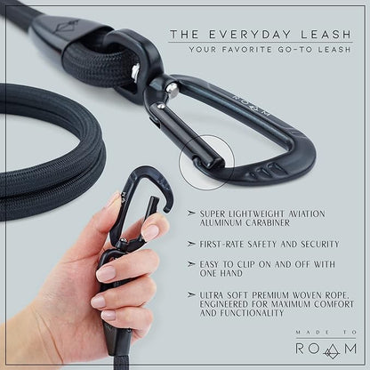 MADE TO ROAM Premium Everyday Leash 6ft (Metal