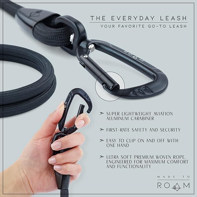 MADE TO ROAM Premium Everyday Leash 4ft (Metal