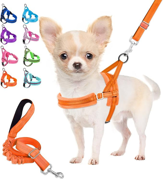 Lukovee Dog Harness and Leash Set, Soft Padded Small Dog Harness, Neck & Chest Adjustable Reflective Vest Puppy Harness with 4ft Lightweight Anti-Twist Dog Leash for Small Dogs (Orange, Small)