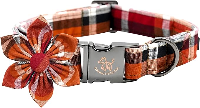 Elegant little tail Fall Dog Collar